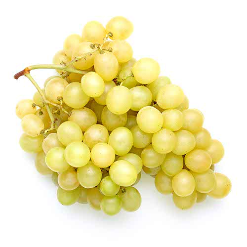 Percorso Qualità Uva da Tavola Bianca Vittoria Origine Italia Cat. I CONAD