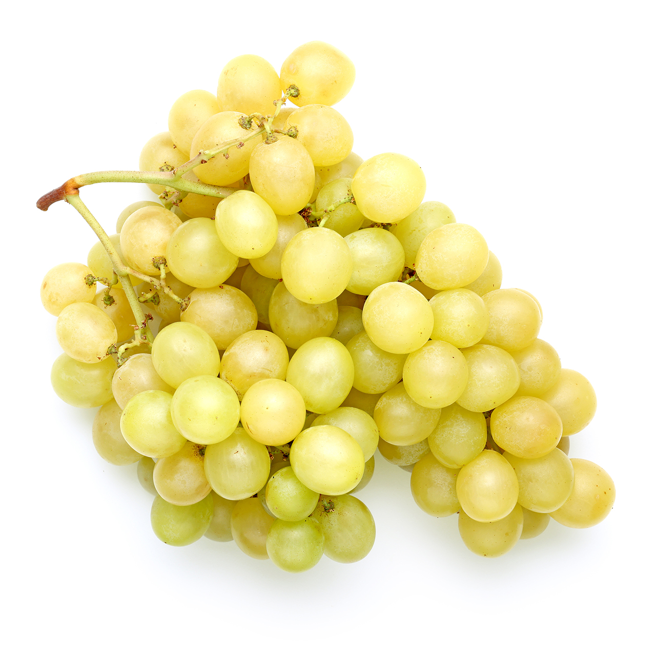 Percorso Qualità Uva Regina Bianca Origine Italia Cat. I CONAD