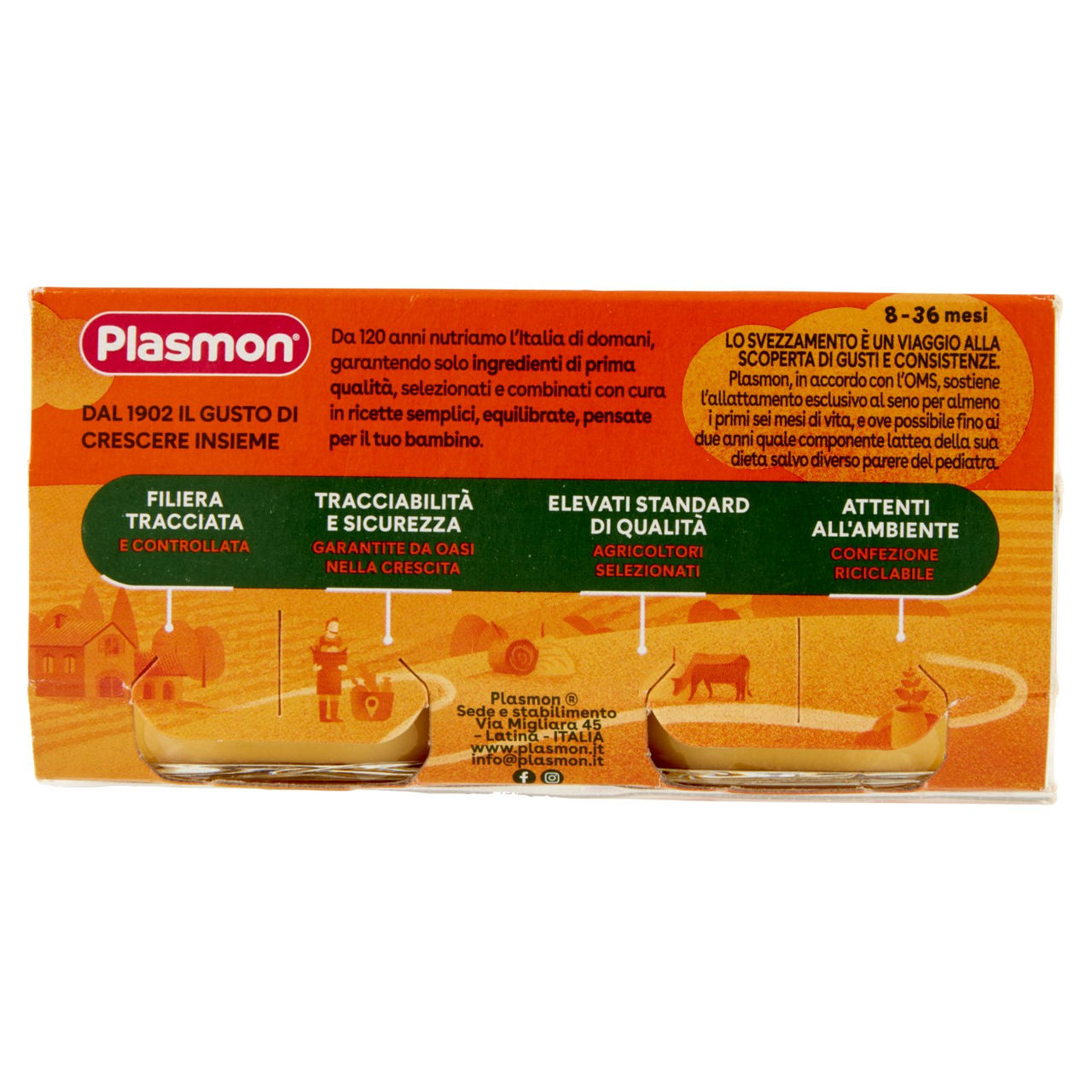 Plasmon Omogeneizzato Ceci con zucca 2 x 80 g
