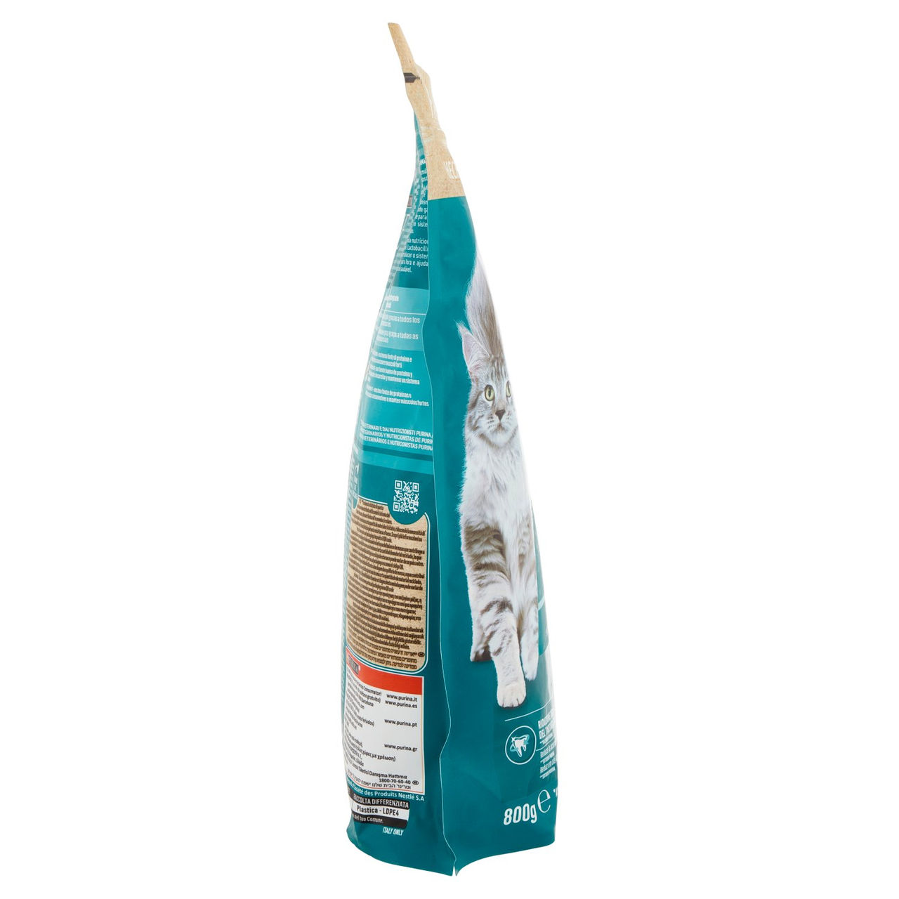PURINA ONE Adult Ricco in Pollo 800 g