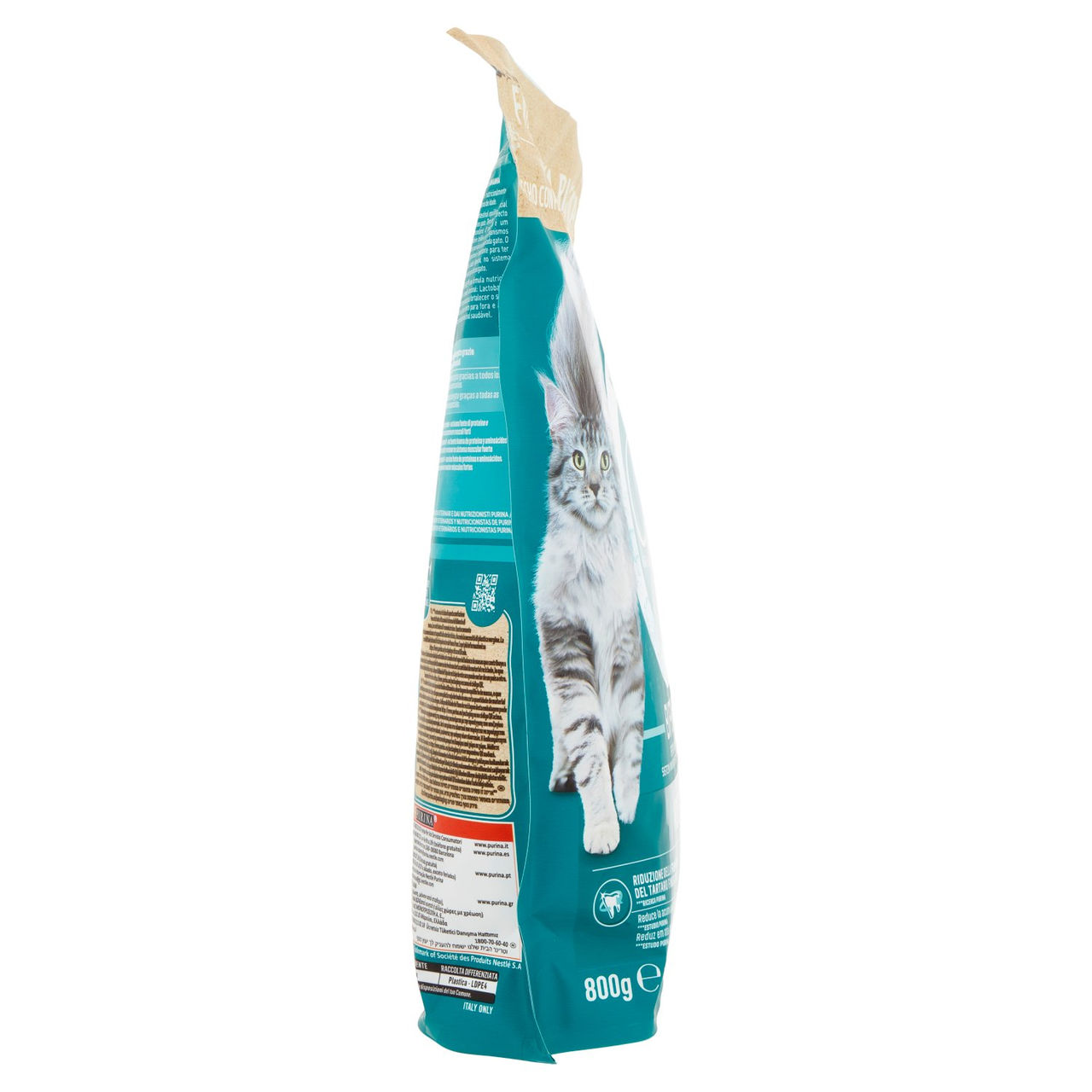 PURINA ONE Adult Ricco in Salmone 800 g