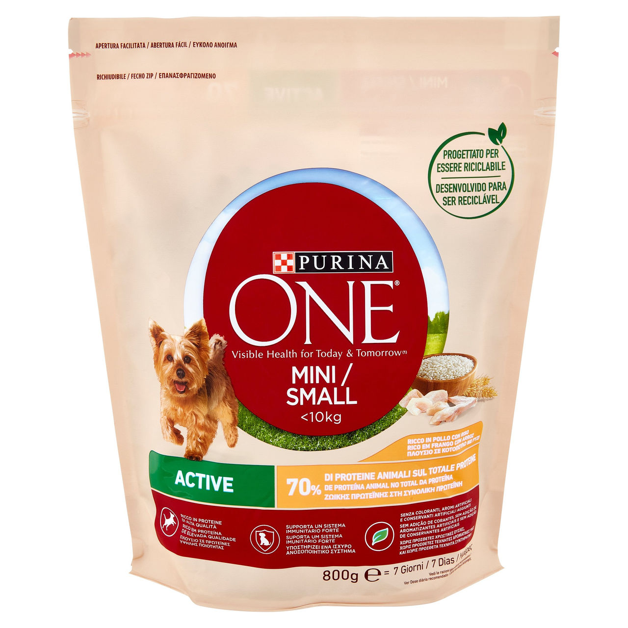 PURINA ONE Mini/Small Active Pollo con Riso 800 g