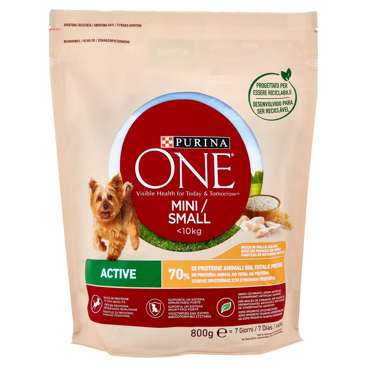 PURINA ONE Mini/Small Active Pollo con Riso 800 g