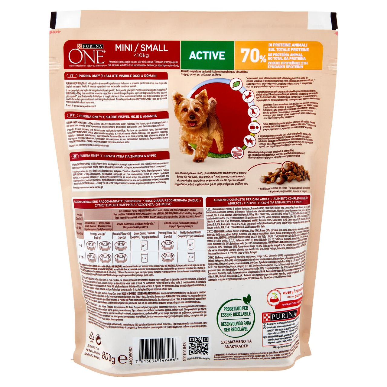 PURINA ONE Mini/Small Active Pollo con Riso 800 g