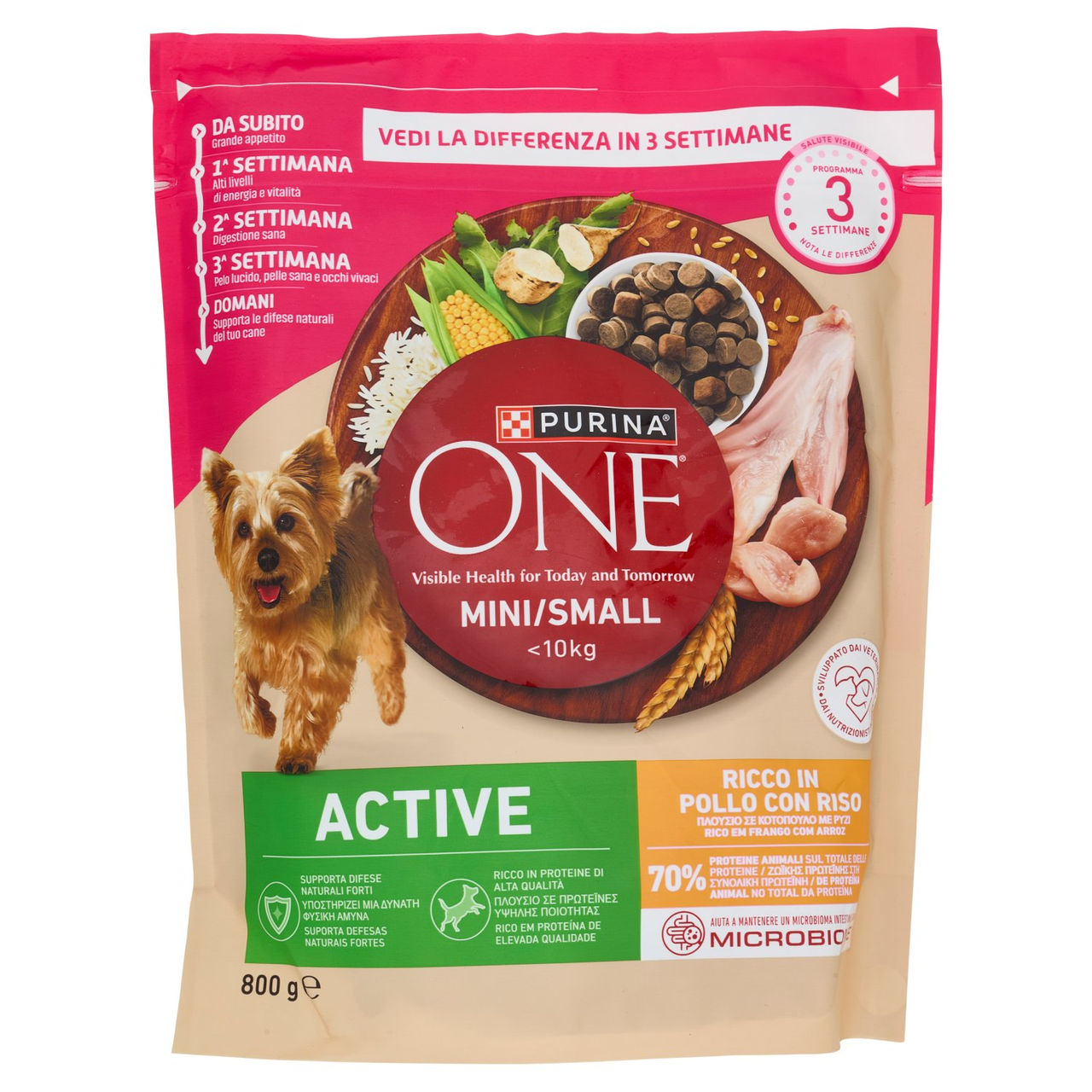 PURINA ONE Mini/Small Active Pollo e Riso 800g