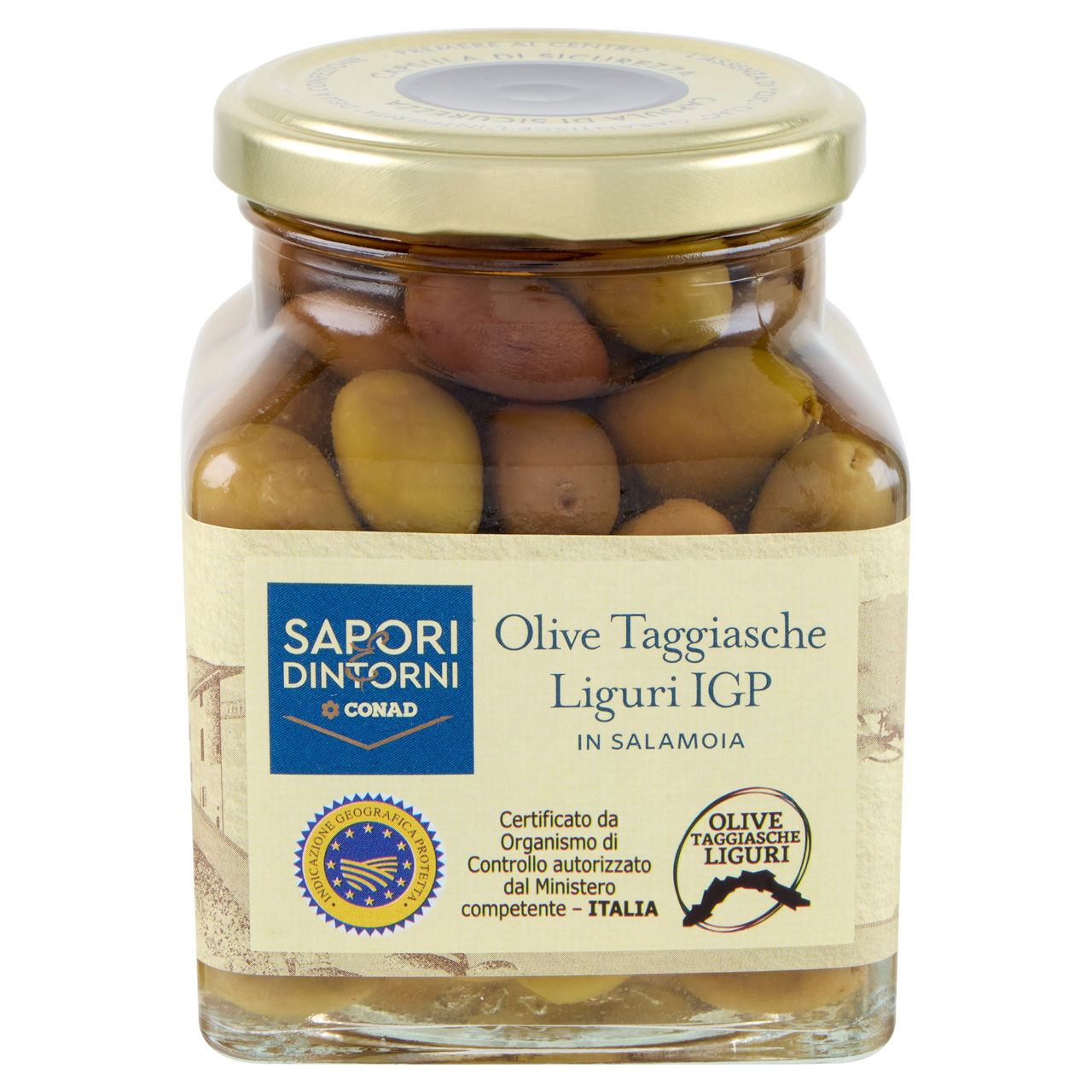 Olive Taggiasche provincia Imperia in Salamoia
