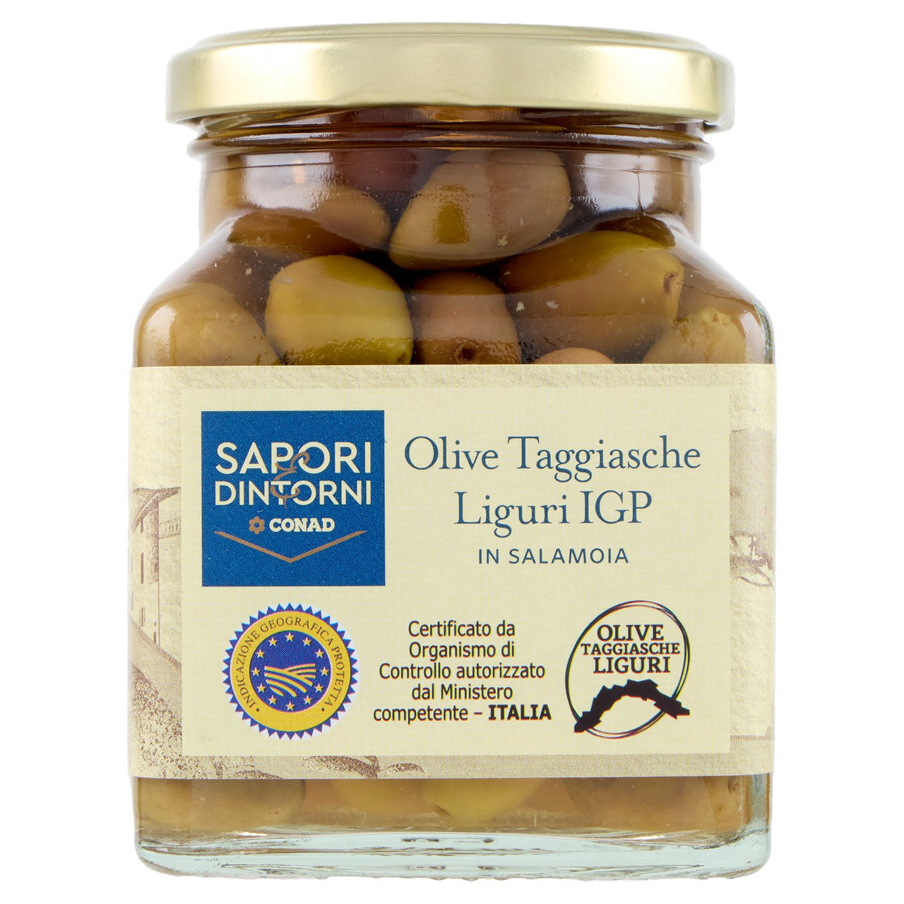 Olive Taggiasche provincia Imperia in Salamoia