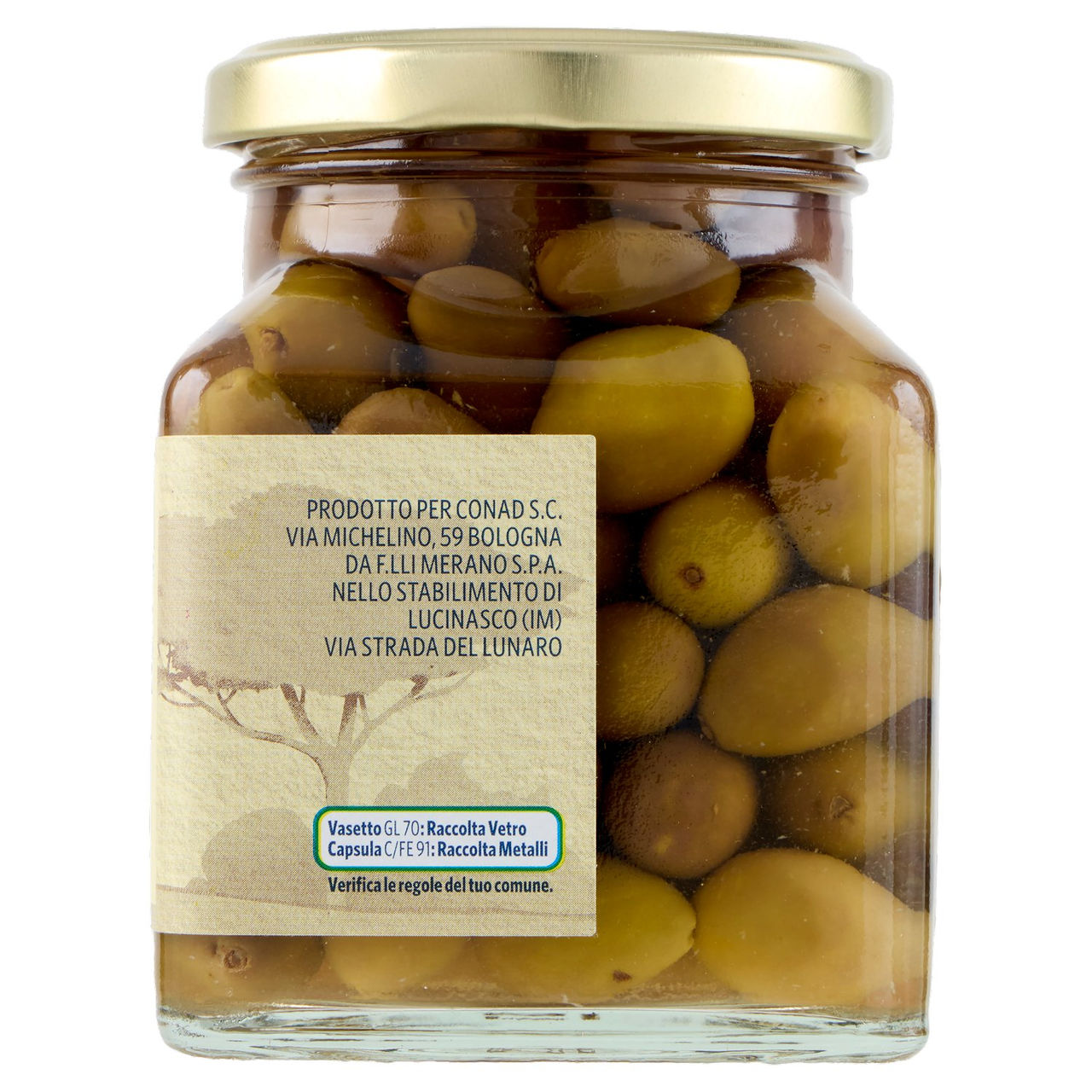 Olive Taggiasche provincia Imperia in Salamoia