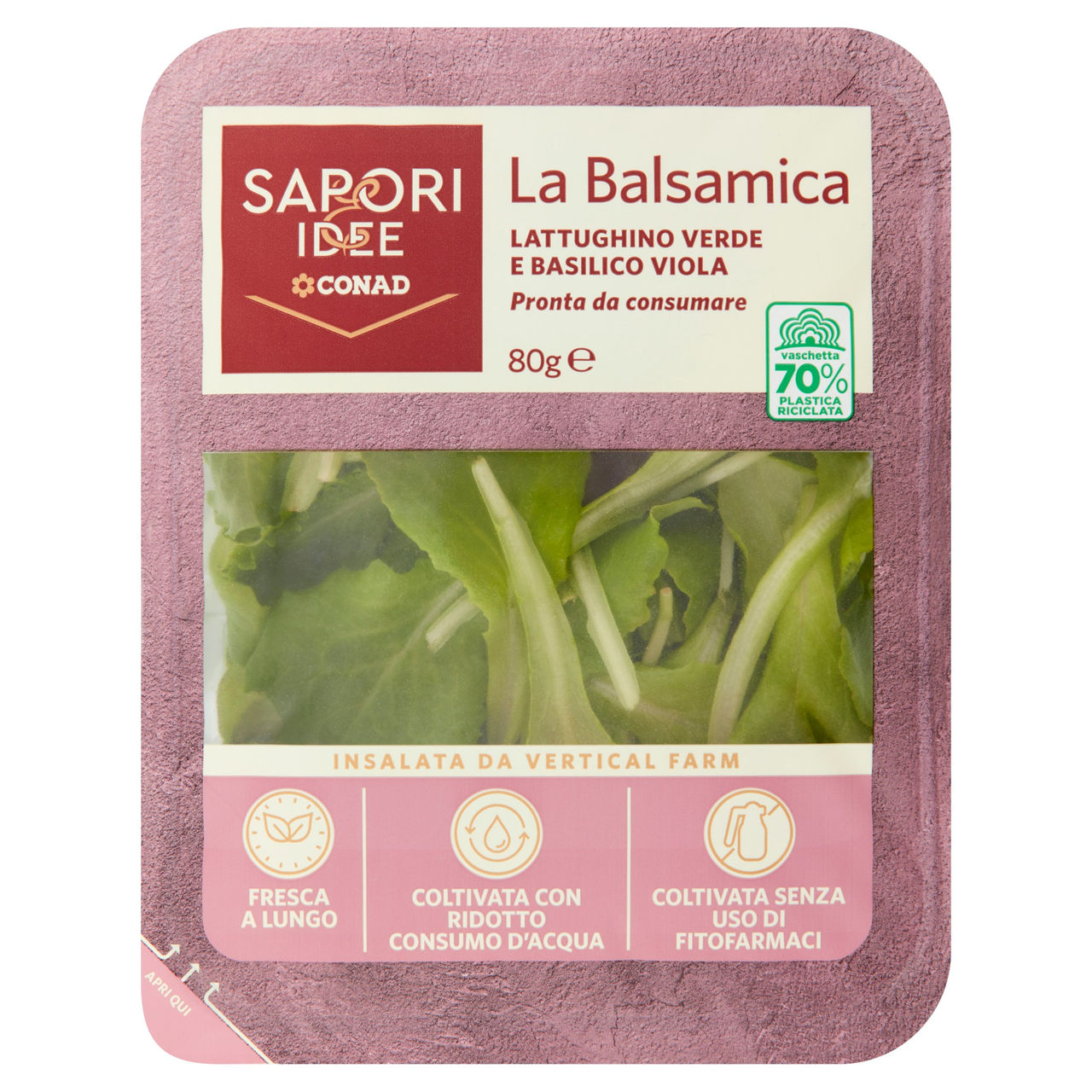 SAPORI & IDEE CONAD La Balsamica Lattughino Verde e Basilico Viola 80 g