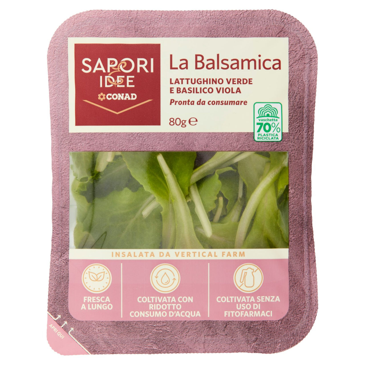 SAPORI & IDEE CONAD La Balsamica Lattughino Verde e Basilico Viola 80 g