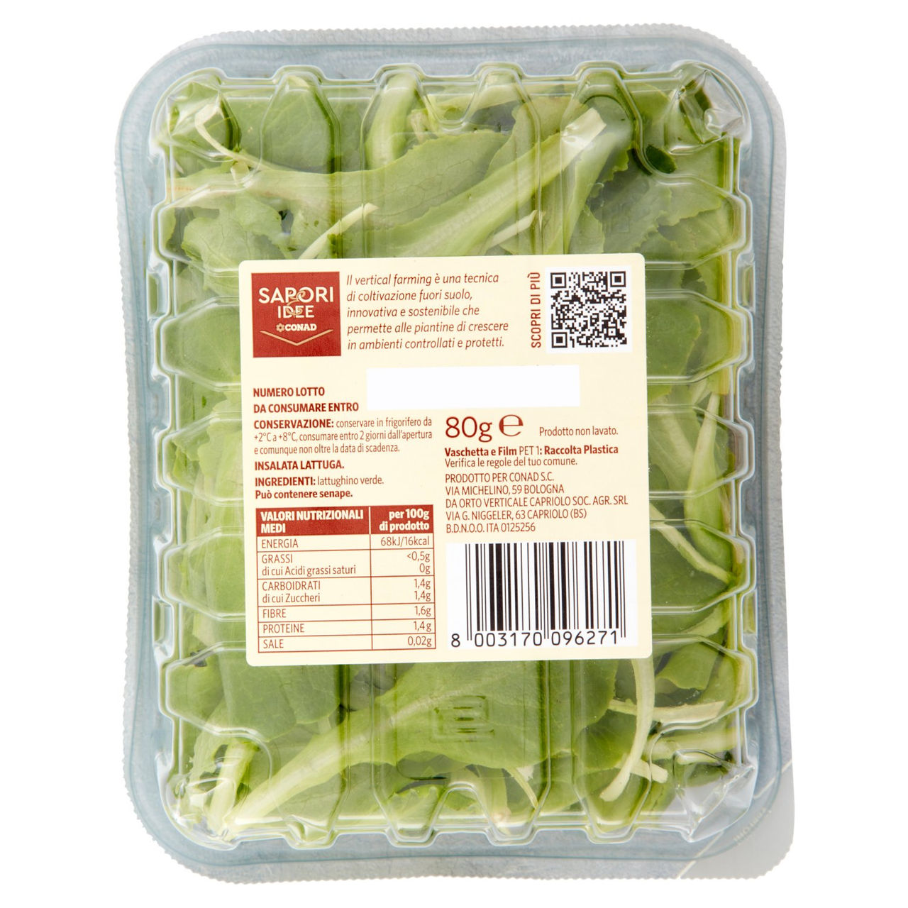 SAPORI & IDEE CONAD La Gentile Lattughino Verde 80 g