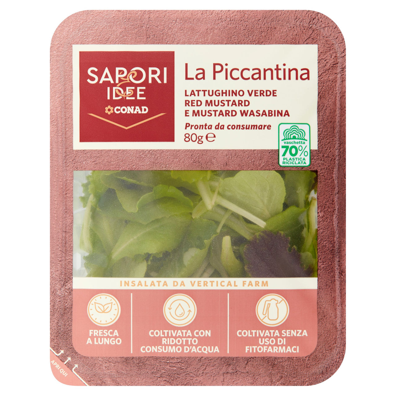 SAPORI & IDEE CONAD La Piccantina Lattughino Verde Red Mustard e Mustard Wasabina 80 g