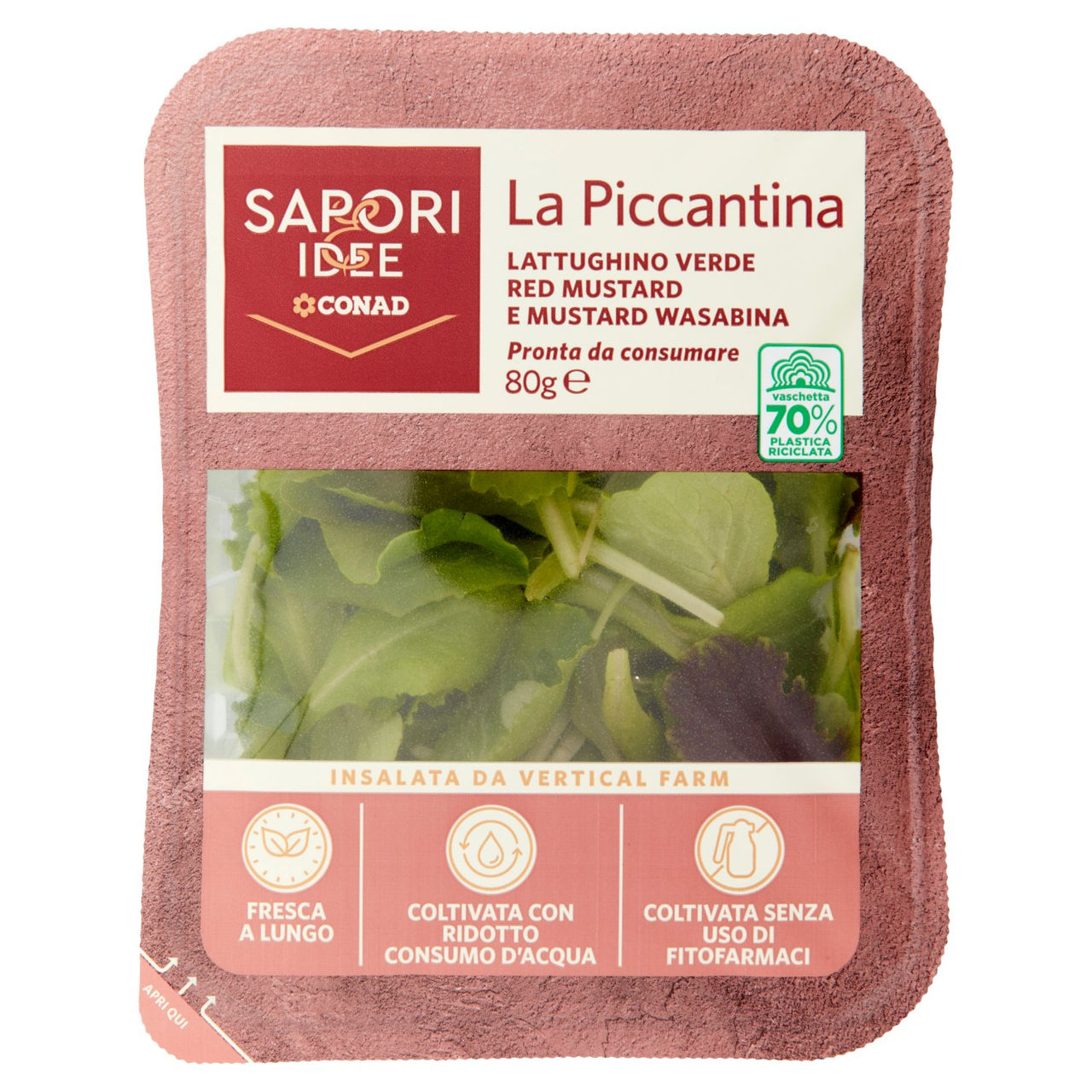 SAPORI & IDEE CONAD La Piccantina Lattughino Verde Red Mustard e Mustard Wasabina 80 g