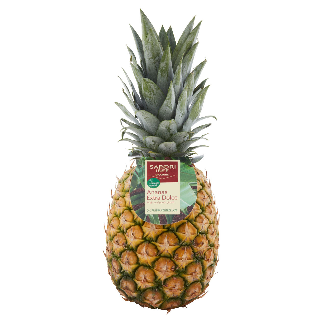 SAPORI & IDEE CONAD Percorso Qualità Ananas Extra Dolce Costa Rica