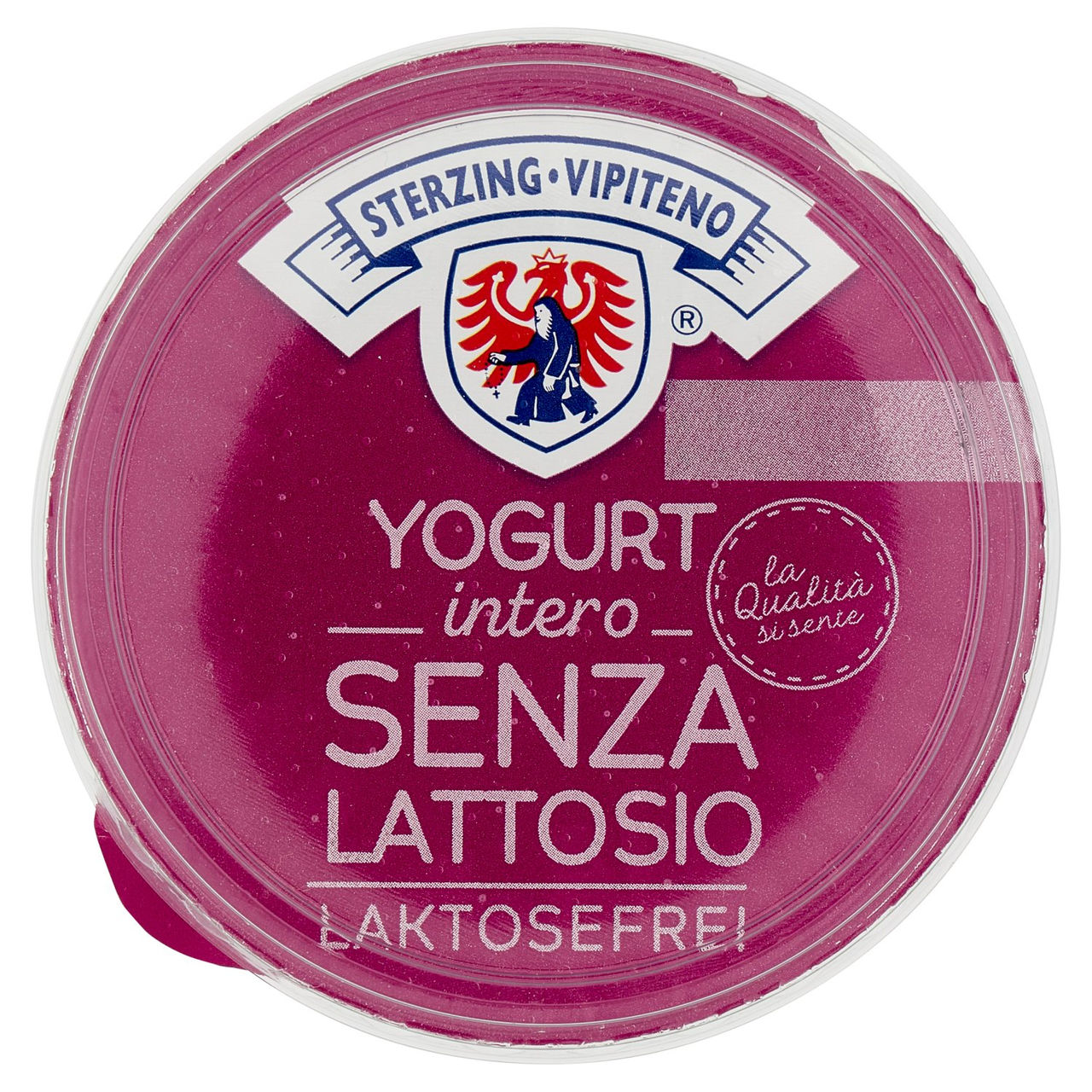 Sterzing Vipiteno Yogurt intero Senza Lattosio Bianco 500 g