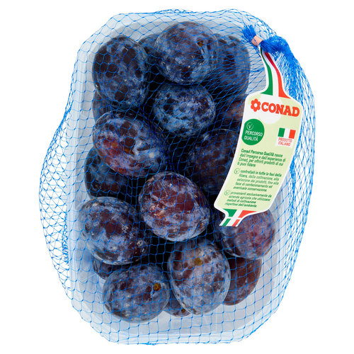 Susine Stanley Italia cal. 35/40 1 kg Percorso Qualità Conad